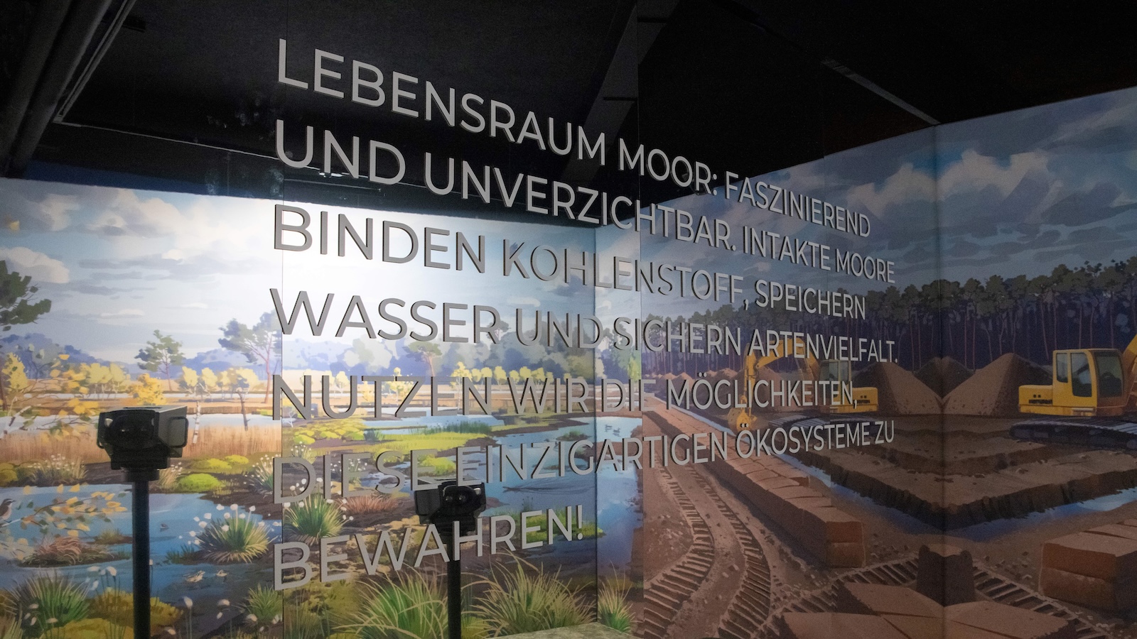 „Mission to Marsh“: Bad Driburg im Zeichen des Moores