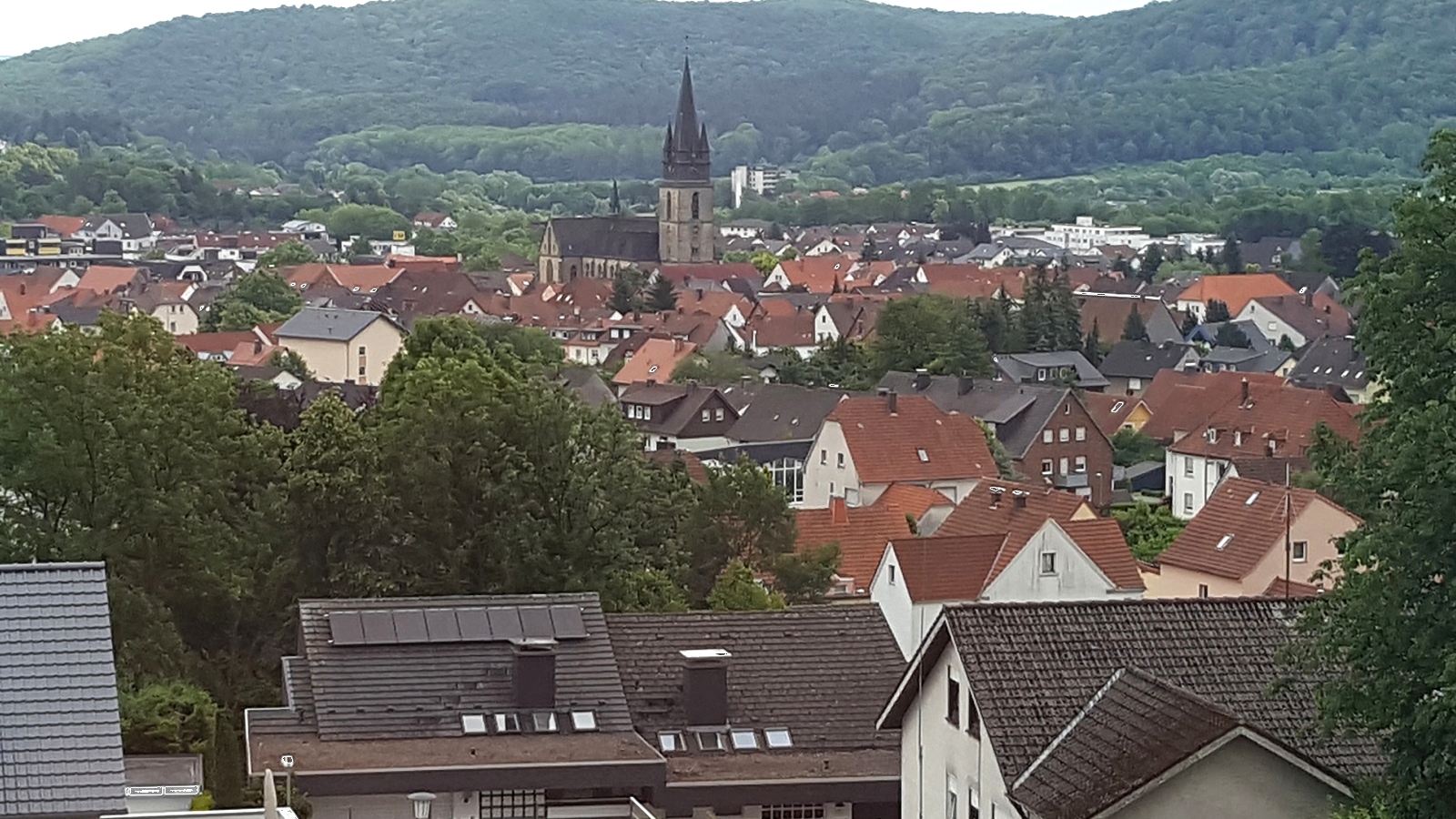 Tote Fische und Schaumbildung im Katzohlbach sorgen für Aufsehen in Bad Driburgs Innenstadt